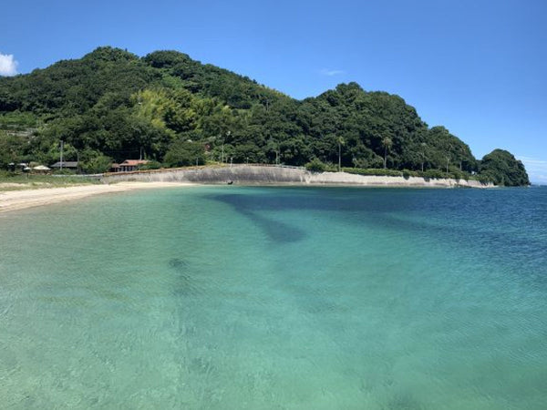 ２０２３　夏のジャム屋日記