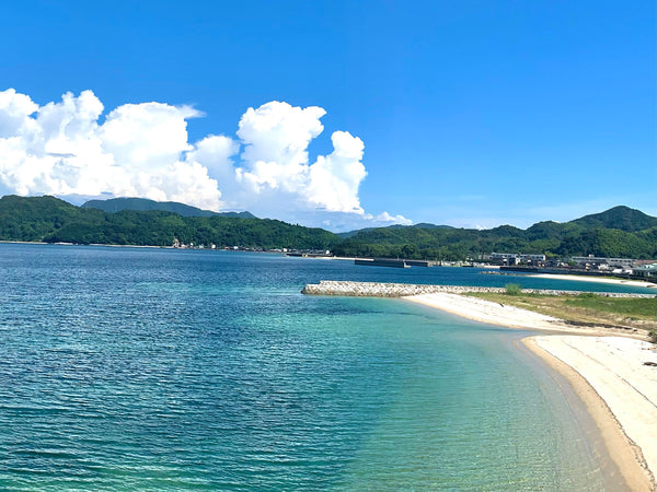 2026 夏のジャム屋日記