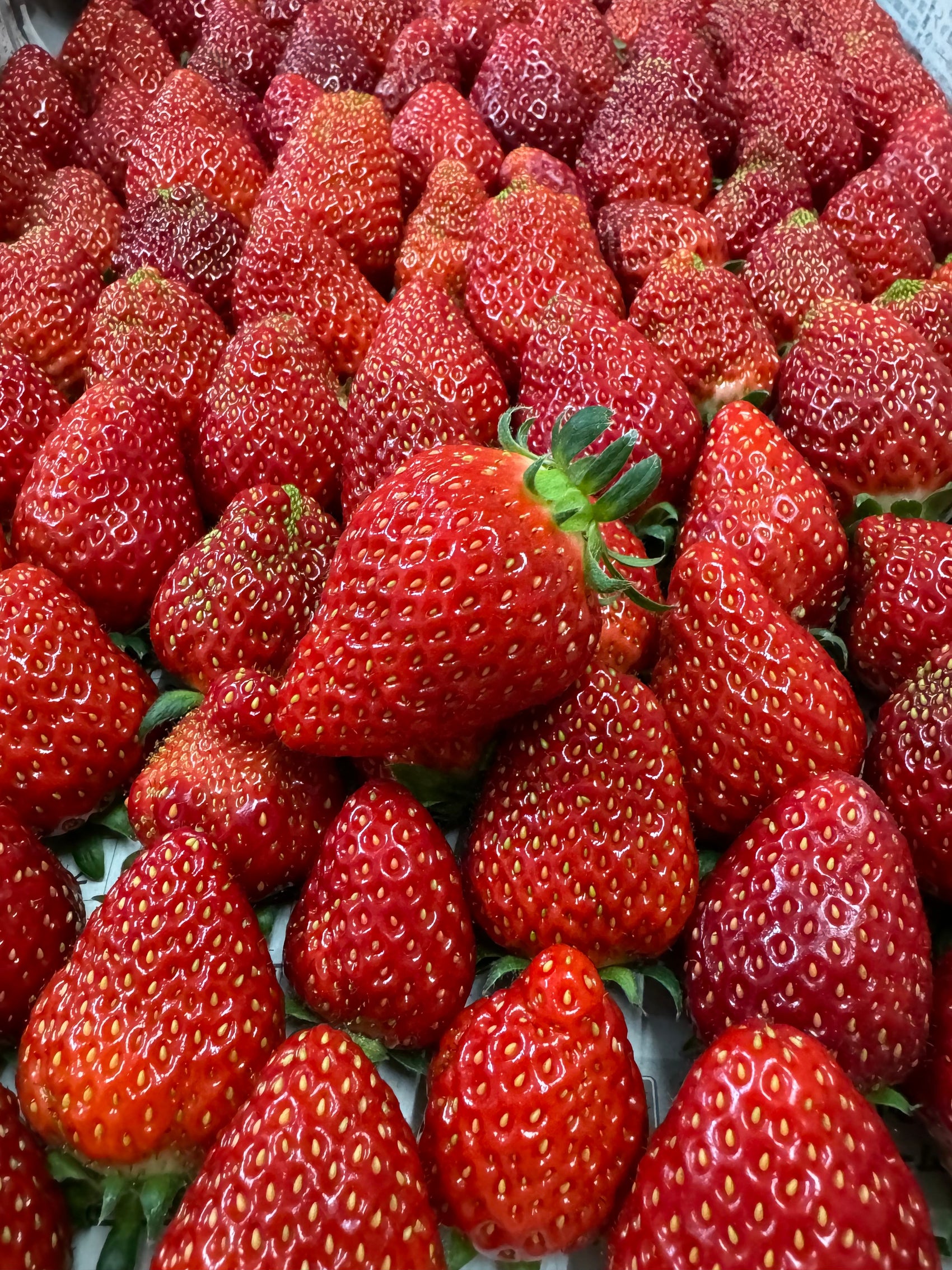 自家農園のいちごのジャム