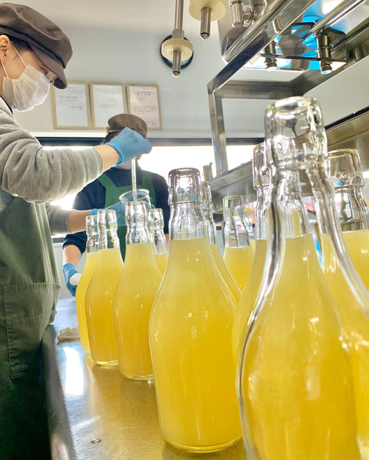 ＜選べるセット＞瀬戸内の生レモンチェッロ 3本セット 500ml×3本
