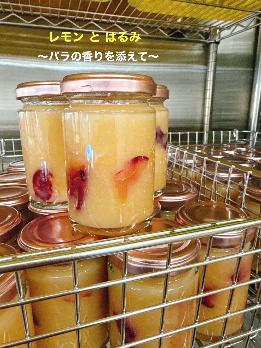 レモンとはるか　～春のバラの香りを添えて～