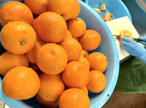 早摘み　いよかん(限定　天然水仕込み)