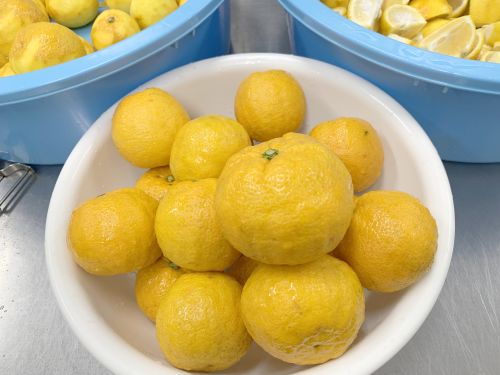 島のジャバラ 香りと酸味の マーマレード