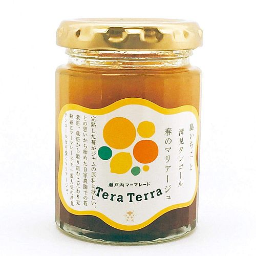 島いちごと清見タンゴール　春のマリアージュ