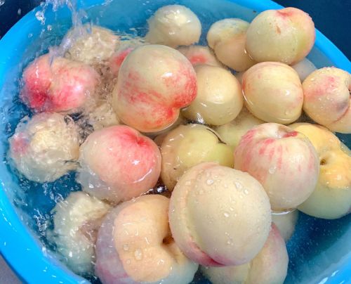 瀬戸内白桃　サングリア仕立てジャム