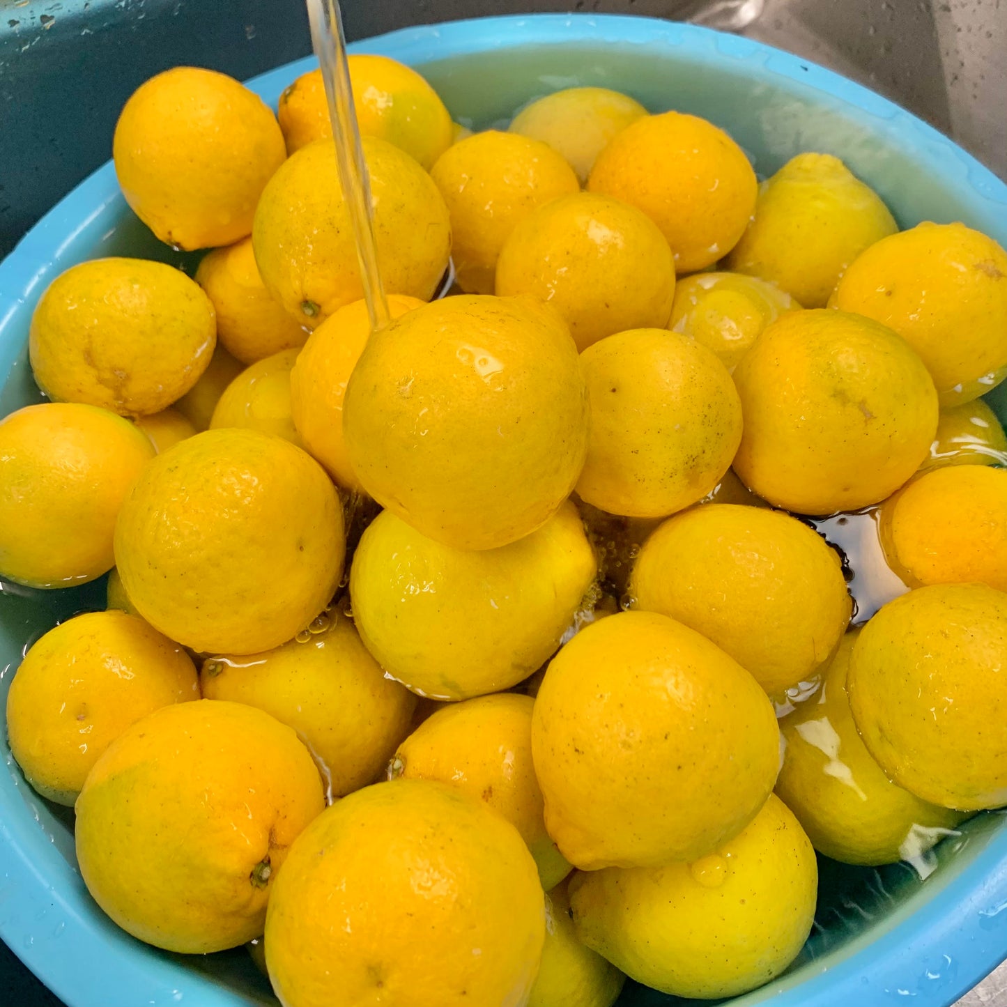 黄金ゆずきち　香りと酸味のマーマレード