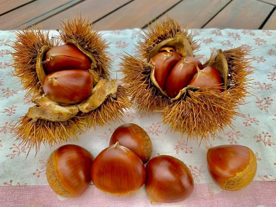 厚保（あつ）栗のシナモンジャム
